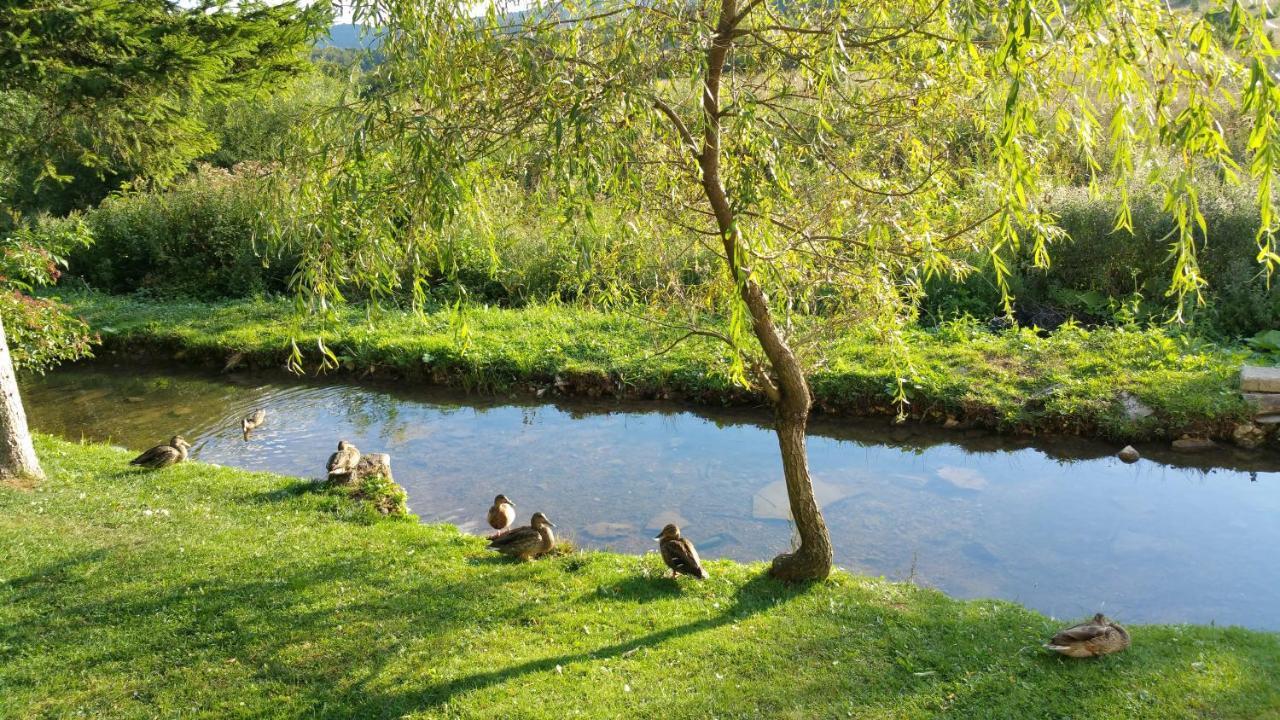 Rustic Inn River Prijeboj Екстериор снимка